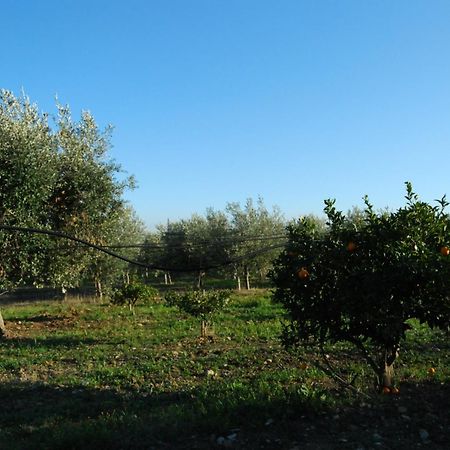 Agriturismo - B&B "La Funicolare" Francavilla Marittima Kültér fotó