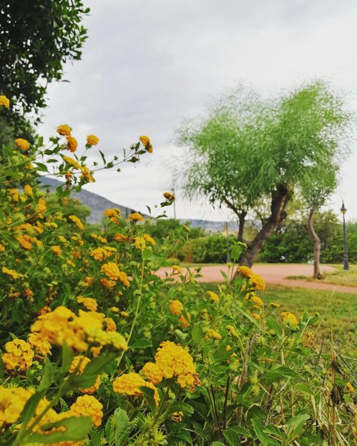 Agriturismo - B&B "La Funicolare" Francavilla Marittima Kültér fotó
