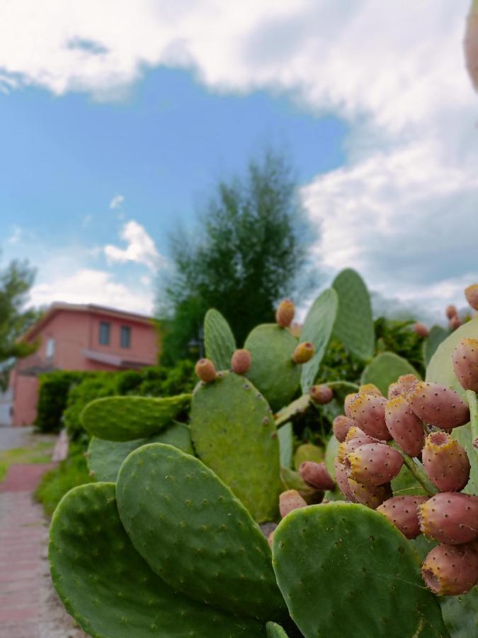Agriturismo - B&B "La Funicolare" Francavilla Marittima Kültér fotó