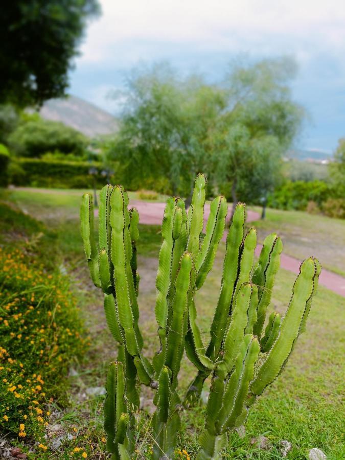 Agriturismo - B&B "La Funicolare" Francavilla Marittima Kültér fotó
