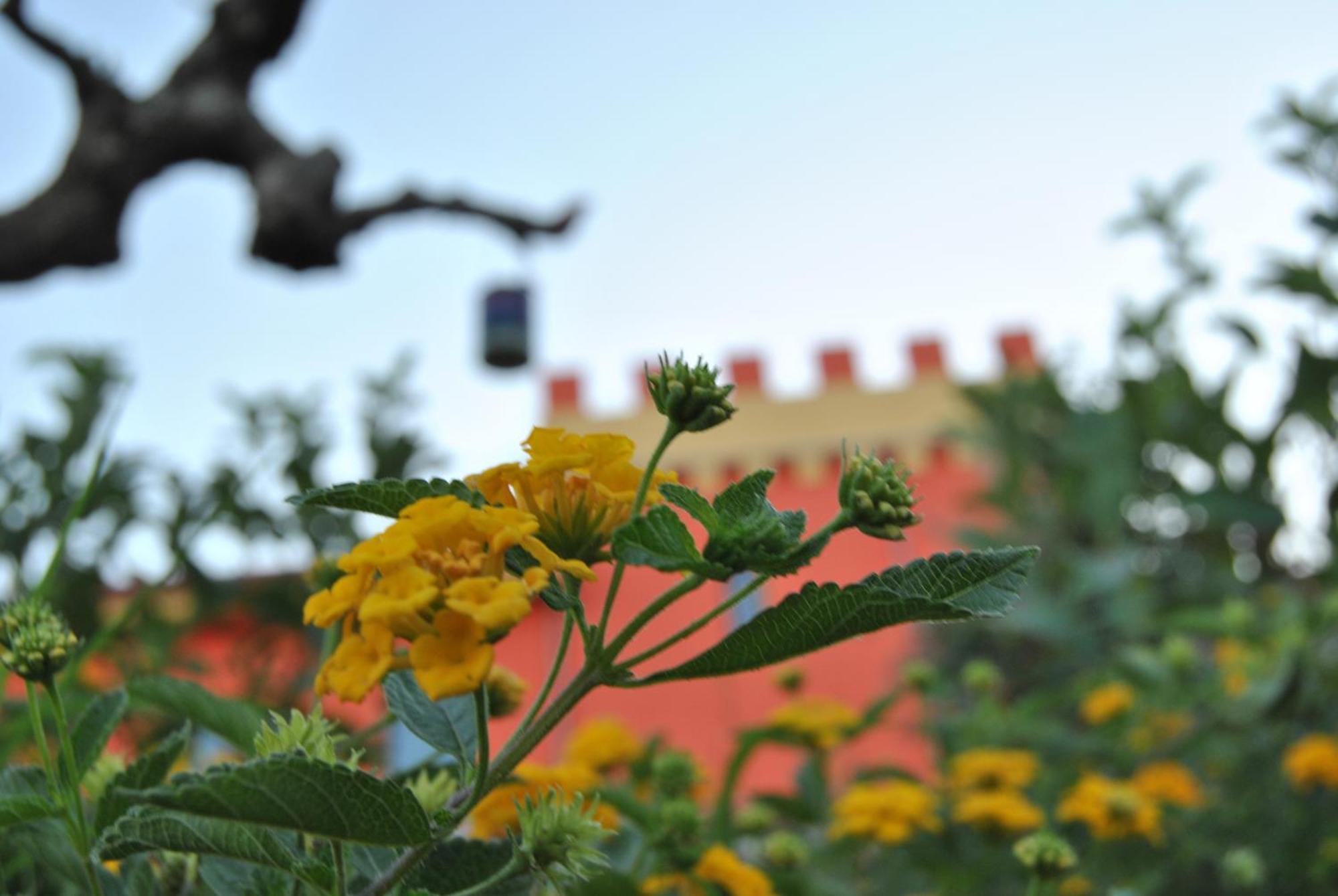 Agriturismo - B&B "La Funicolare" Francavilla Marittima Kültér fotó